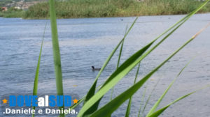 Passeggiata nella natura al Bacino