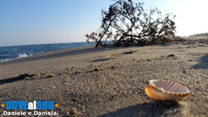 Mare di Pisticci